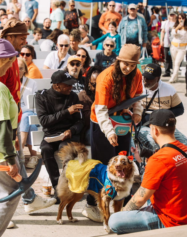 Dogs in Costume